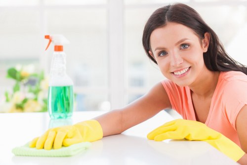 Professional oven cleaning service in Maidavale for a spotless kitchen appliance