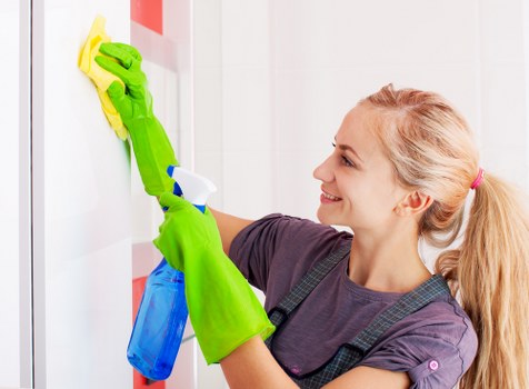 Professional sofa cleaning service in a Maidavale home living room