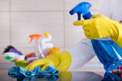 Local house cleaning service for Maidavale homes