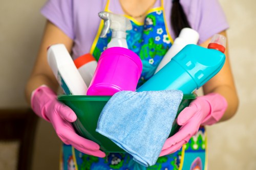 Professional end of lease cleaning for a property in Maidavale