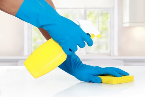 Cleaners Maidavale pricing overview with waste removal service information