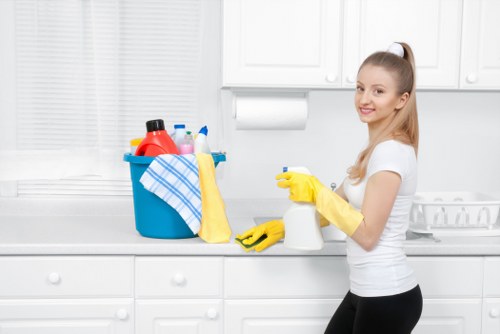 Kitchen and bathroom domestic cleaning service in a Maidavale home