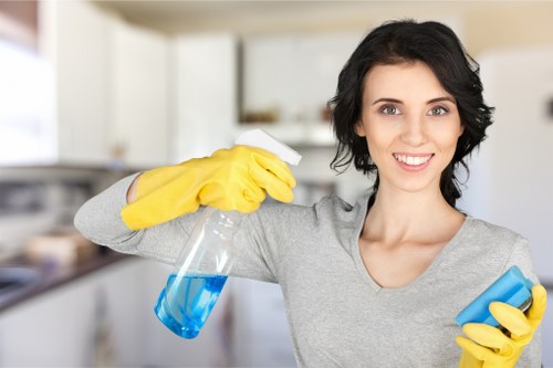 Deep mattress cleaning process for Maidavale property