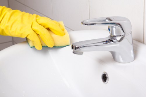Residential carpet steam cleaning service in Maidavale apartment