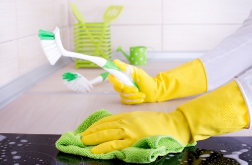 Move in cleaning service for homes with cupboards floors and fixtures in Maidavale
