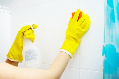 Thorough cleaning process showing quality and care in Maidavale