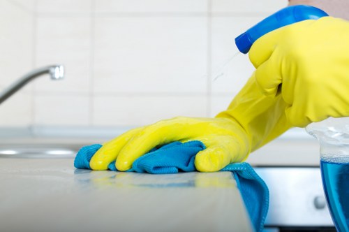 Cleaner treating a mattress to remove dust and odours