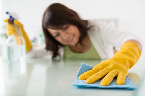 Commercial oven cleaning for a Maidavale business kitchen