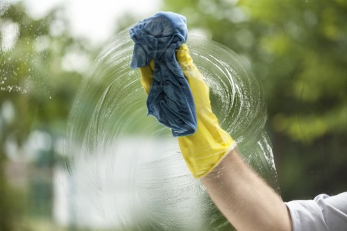 Mattress and fabric stain cleaning service in Maidavale