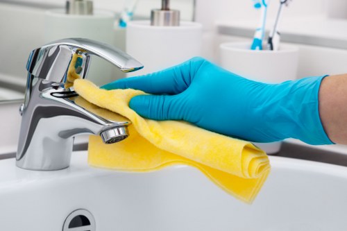 Recurring cleaning for bathrooms and floors in a Maidavale property