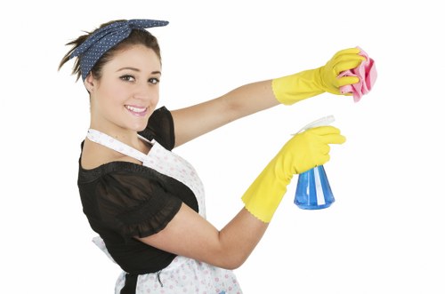 Regular cleaning of shared residential entrance in Maidavale