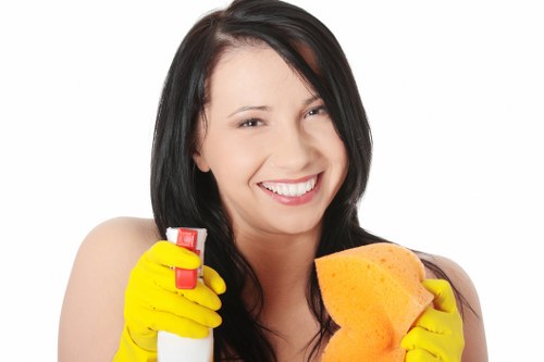 SSL protected checkout for Cleaners Maidavale