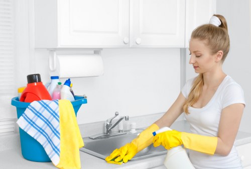 Local carpet cleaning service in a Maidavale apartment or unit