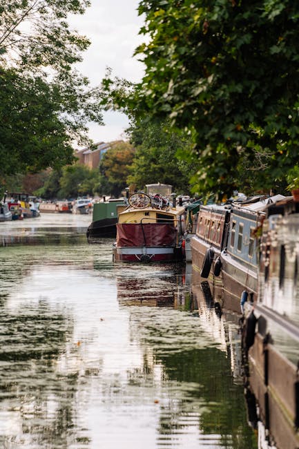 Close-up of a narrowboat moored along the Little Venice canal in Maida Vale, with the boat's white sign displaying 'Barton Mead Little Venice' in bold blue letters. The boat features a black and green painted surface, and its wooden deck and stainless steel railings are visible beneath the sign. The canal water is calm, reflecting the surrounding lush green trees and nearby residential houses with white facades and pitched roofs in the background. Bright daylight illuminates the scene, highlighting the clean and well-maintained appearance of the boat and the vibrant greenery of the trees, emphasizing the importance of surface cleaning and maintenance for canal boats as part of routine deep cleaning services offered by Cleaners Maida Vale.